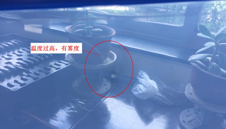 注塑制品質(zhì)量缺陷分析（六）造成制品表面有霧度的主要原因是什么？